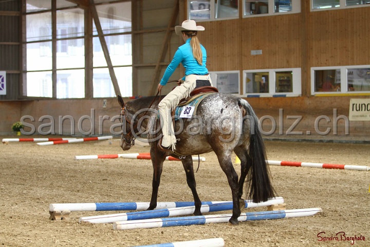 26-ApHC GT_147.jpg